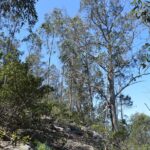 Cerro del Toro de Piriapolis