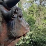 Cerro del Toro de Piriapolis