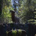 Cerro del Toro de Piriapolis