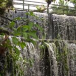 Parque la Cascada de Piripolis