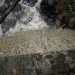 Parque la Cascada de Piripolis