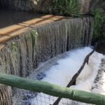 Parque la Cascada de Piripolis