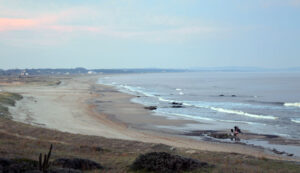 Playa Punta Negra