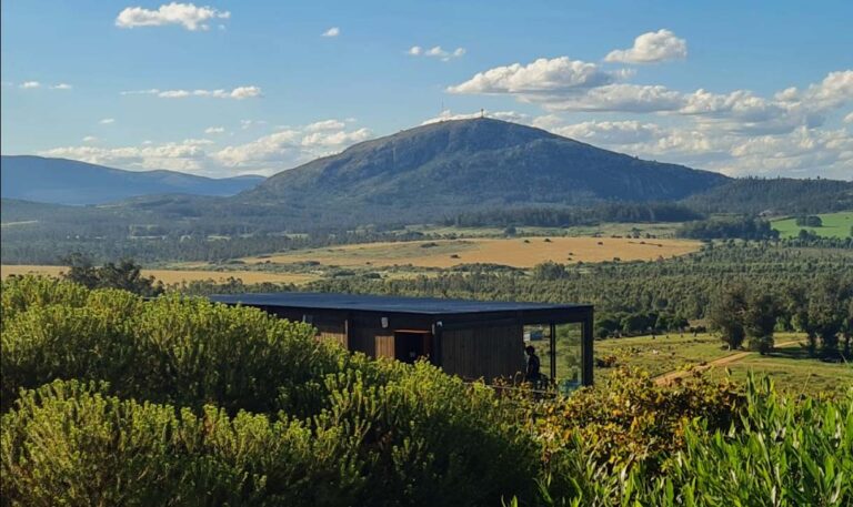 Bodega Cerro del Toro